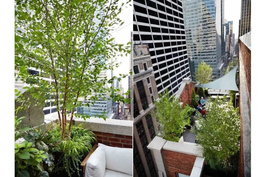 Condo Landscaping: 3 Smart Ideas and Best Practices 3 a city balcony with lots of plants and tables