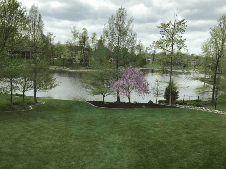 Customer Success Stories: Wolf Lake HOA and Neigbrs by Vinteum