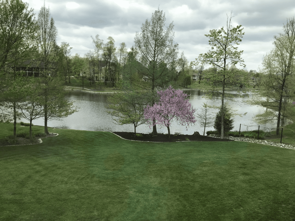 Customer Success Stories: Wolf Lake HOA and Neigbrs by Vinteum 1 Wolf Lake HOA - Imags of the lake and trees