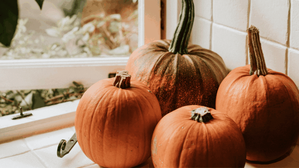 Modelo Banner para Forms 8