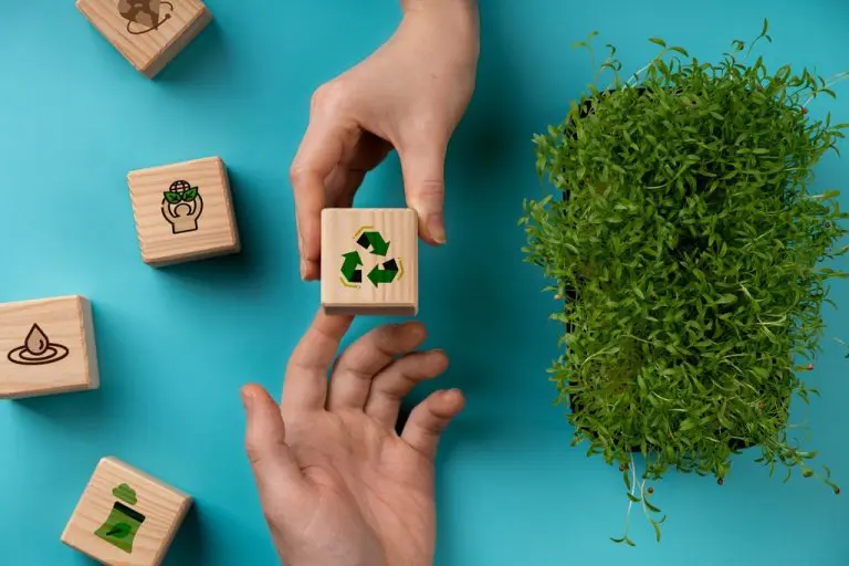 Green Initiatives For HOAs: Helping Your Community And The Environment