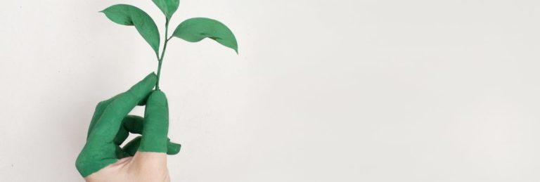 How to Make Your HOA Green