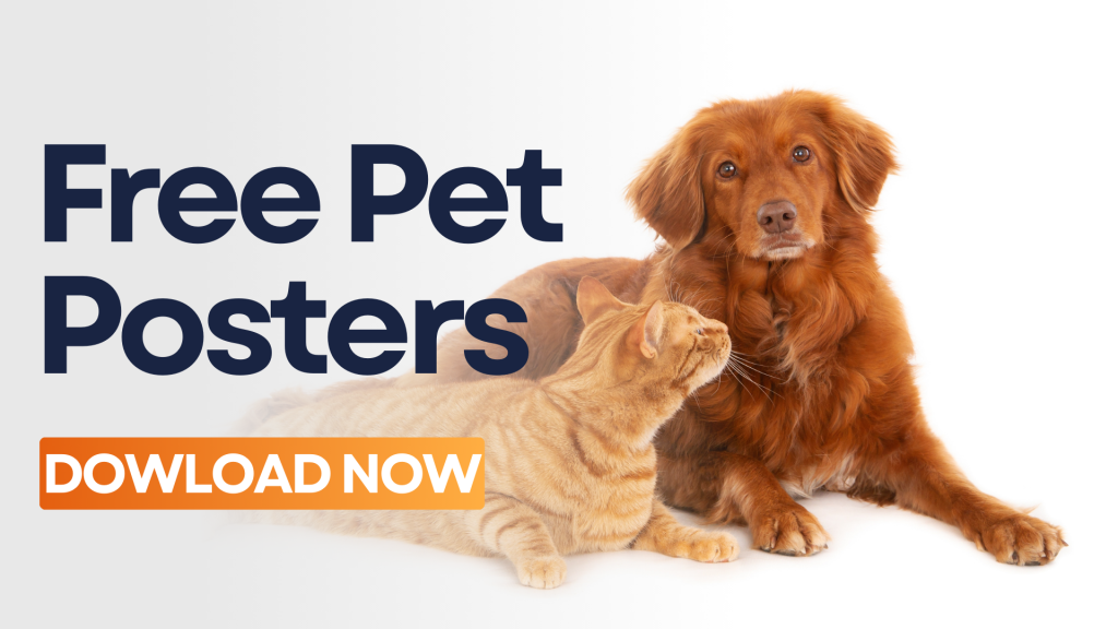 HOA and Cats: Common Rules and Key Information 2 Pet Posters Banner