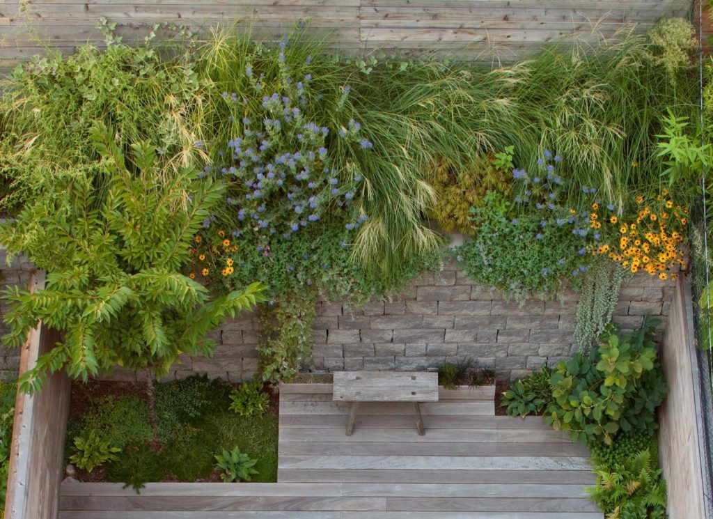 a courtyard seen from above with hanging plants and a bench