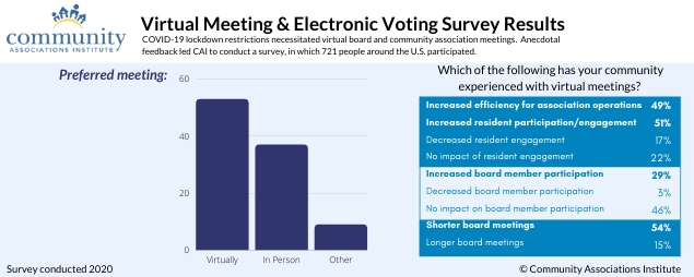 Virtual Mtg Elect Voting Survey snip 1