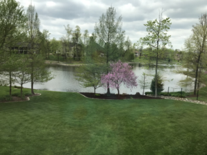 Customer Success Stories: Wolf Lake HOA and Neigbrs by Vinteum