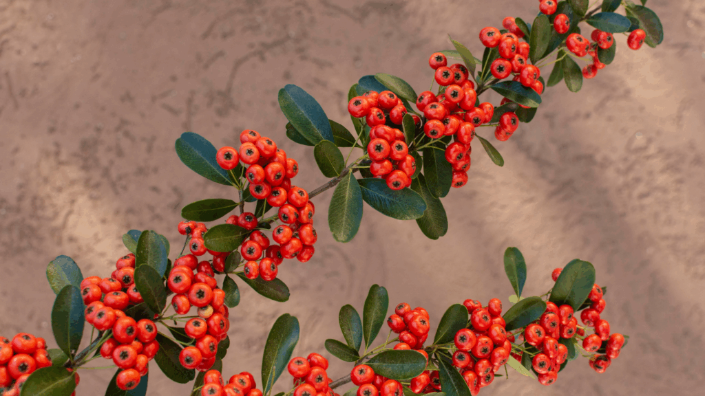 Essential Fall Landscaping Tips for HOAs and Homeowners: How to Prepare for the Cooler Months 6 Modelo Banner para Forms 4