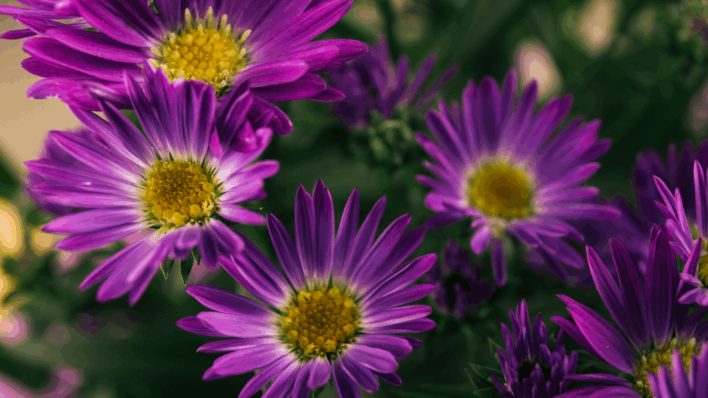 Essential Fall Landscaping Tips for HOAs and Homeowners: How to Prepare for the Cooler Months 8 Modelo Banner para Forms 6