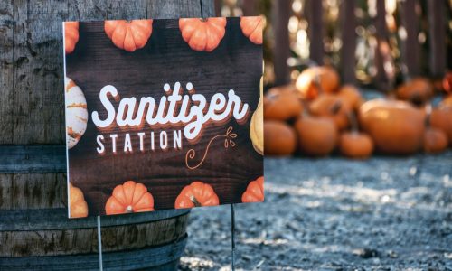halloween covid 19 - image of pumpkins and a sanitizer station sign