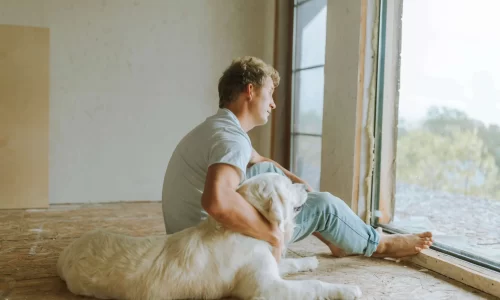 picture of a man with blonde hair looking out of a windom, with his arm around a fluffy white golden retriever