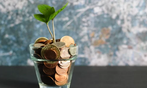 pot filled with coins, symbolizing the financial investment required for home inspection startup costs, with a small plant growing, representing the potential growth and success of the business